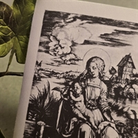 dame-barn-kat-sort-hvidt-Albrecht-Durer-gammel-tysk-print-
